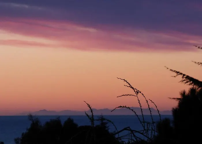 Flat With Sea View 公寓