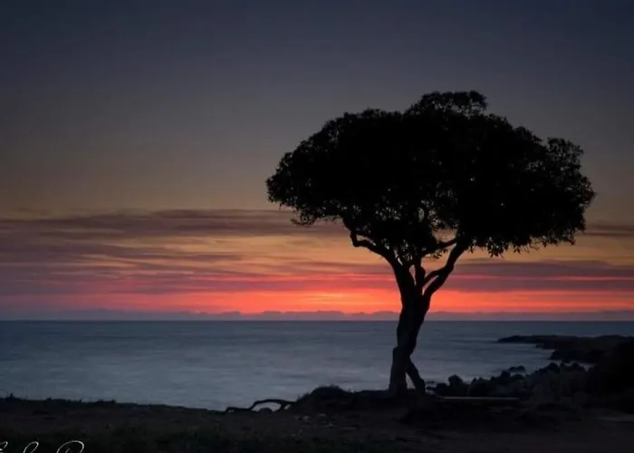 Flat With Sea View 昂蒂布