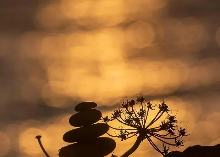 公寓 Flat With Sea View